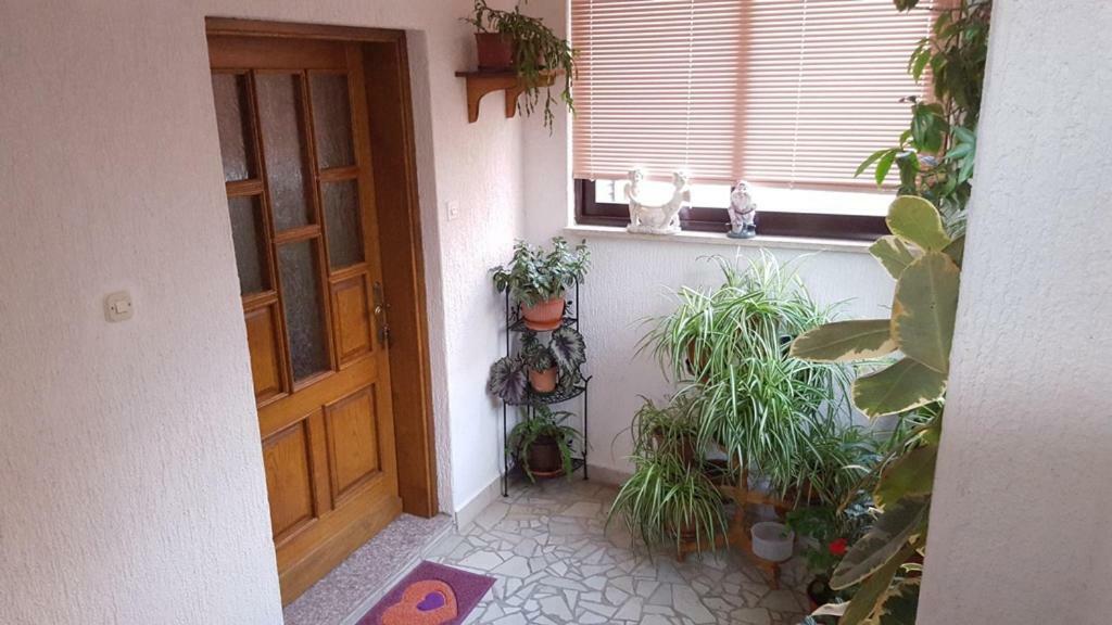 App Marija Apartment ซริกเวนิซา ภายนอก รูปภาพ
